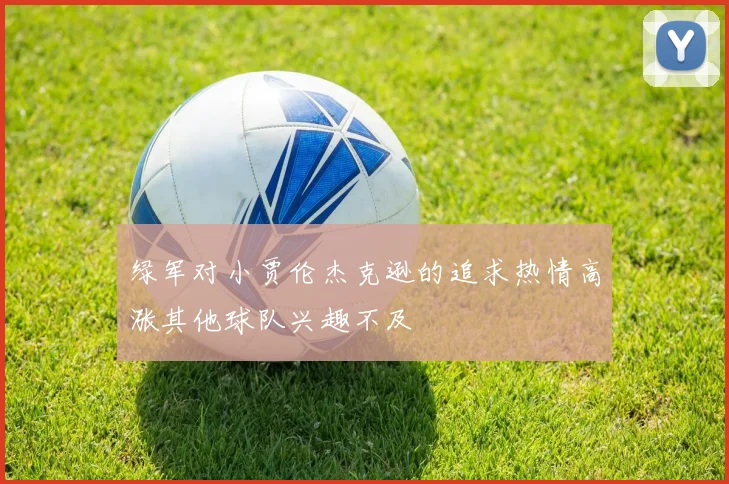 绿军对小贾伦杰克逊的追求热情高涨其他球队兴趣不及